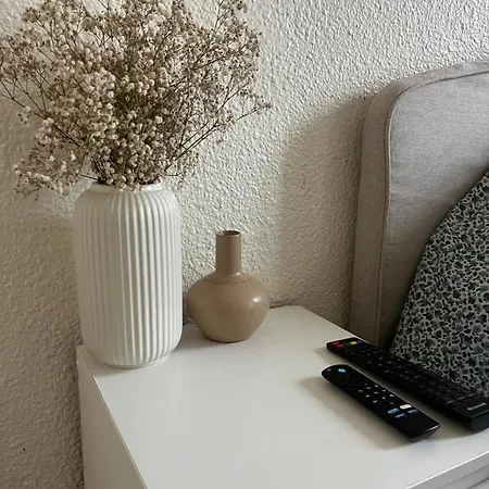 Apartment Dans Le Centre