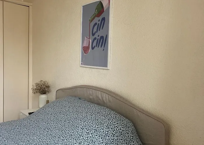 Apartment Dans Le Centre *