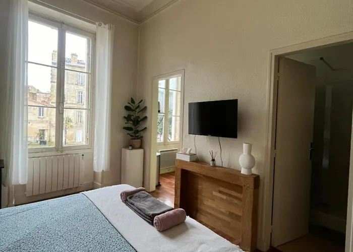 Dans Le Centre Apartment Bordeaux